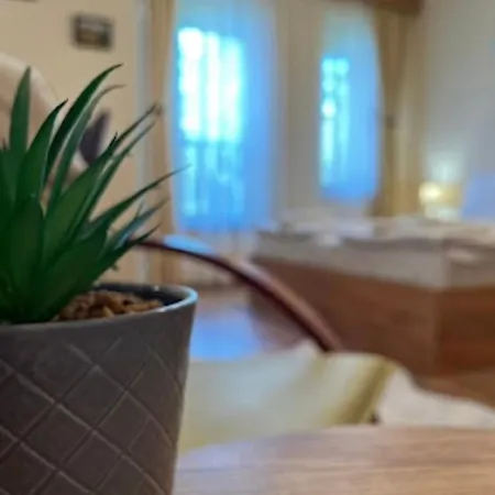 за гости алекс *