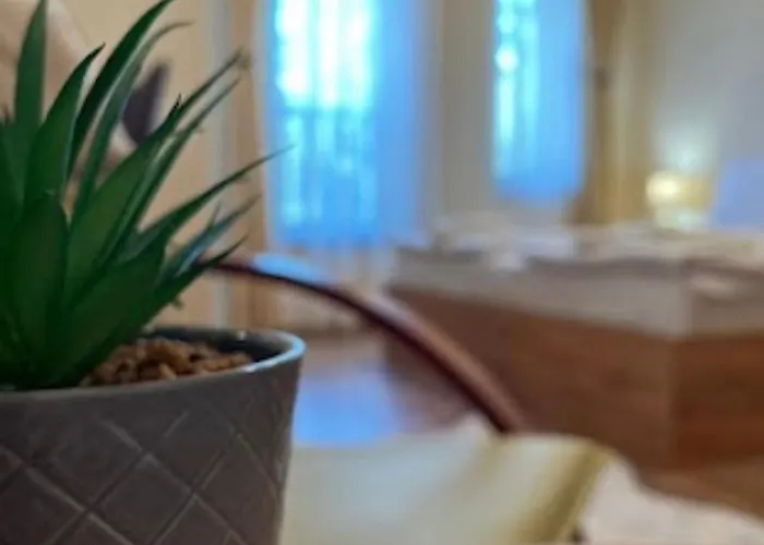 за гости алекс *