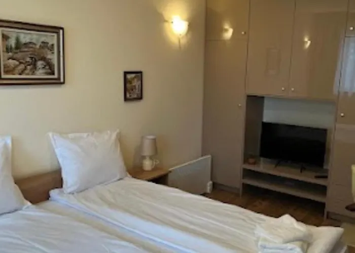 за гости алекс *